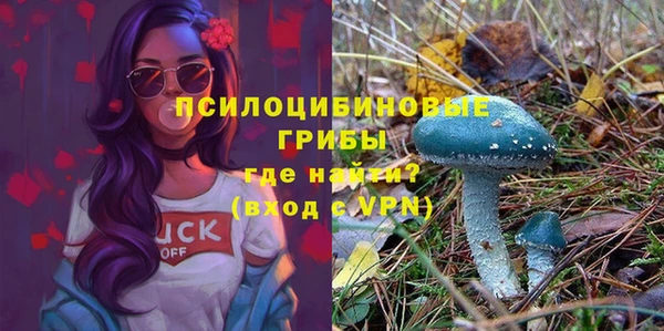 скорость Абаза